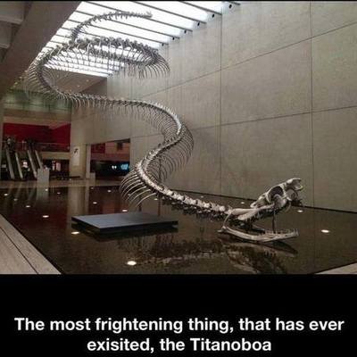 Timeline: AP US History Colonial and Revolutionary era