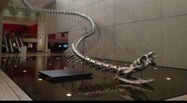 Timeline: AP US History Colonial and Revolutionary era