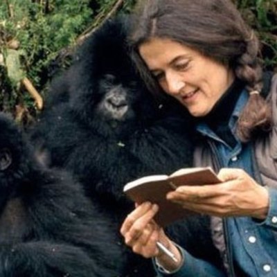 Timeline: Dian Fossey