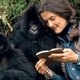 Dian fossey 480