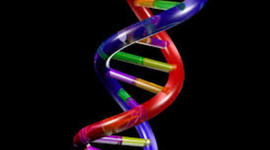 Timeline: Scientists Who Studied DNA