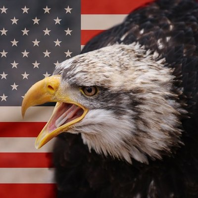 Timeline: U.S. History 1865-2003