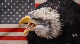 Timeline: U.S. History 1865-2003