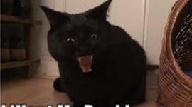 Timeline: Fanfiction - why we need it