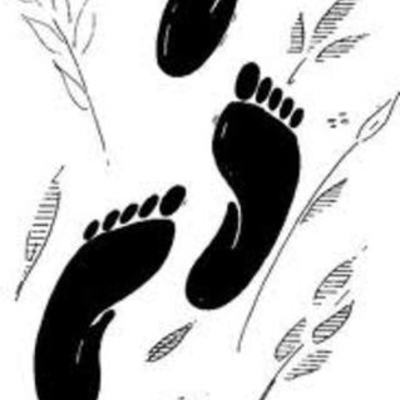 Timeline: UN RECORRIDO POR MI HISTÓRIA