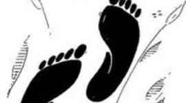 Timeline: UN RECORRIDO POR MI HISTÓRIA