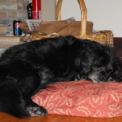 Timeline: It's a rough life!