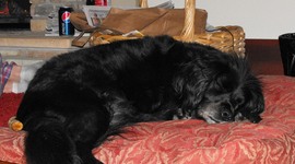 Timeline: It's a rough life!