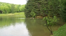 Timeline: Beatiful Pictures