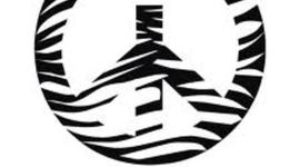 Timeline: Diana Cantu's Timeline