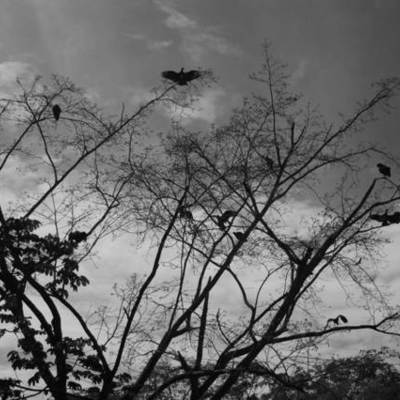 Timeline: OCTUBRE FECHA DEL CALENDARIO SATÁNICO