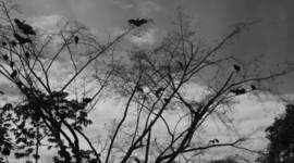 Timeline: OCTUBRE FECHA DEL CALENDARIO SATÁNICO