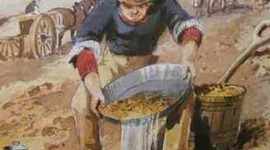 Timeline: Gold Discovery In Australia