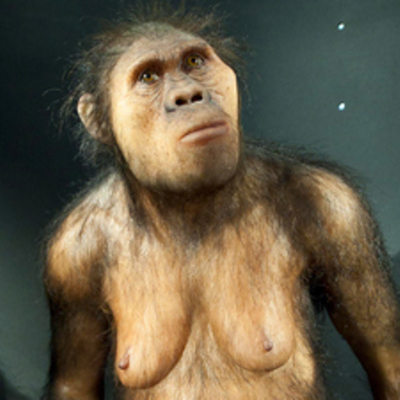 Timeline: EVOLUCION HOMBRE