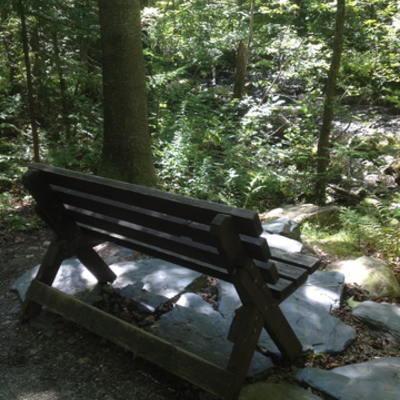 Timeline: HSI 610 Jouvence II