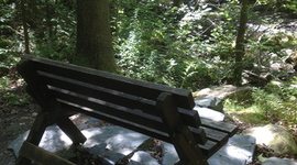 Timeline: HSI 610 Jouvence II