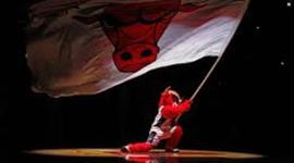 Timeline: Austin dallaire 1999-2014