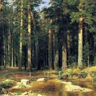 Timeline: природа