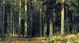 Timeline: природа