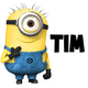 Despicable me minions tim