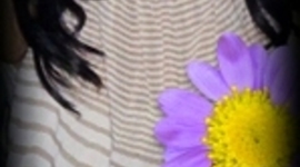 Timeline: SAMANTHA MICHEL