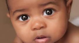 Timeline: kishamanHighsmith_PE1