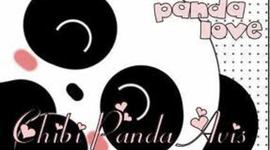 Timeline: patricia arreguin's timeline