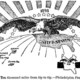 Imperialist cartoon