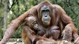 Timeline: Mi evolución