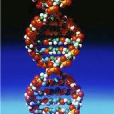 Timeline: Scientist DNA Timeline