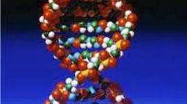 Timeline: Scientist DNA Timeline