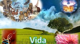 Timeline: La meva història