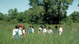 Timeline: OSFC US A02 Outdoor Ed.