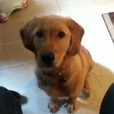 Timeline: Principles of Buisness