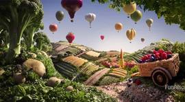 Timeline: Buffet 50 year history