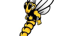 Timeline: Management Timeline Business 380