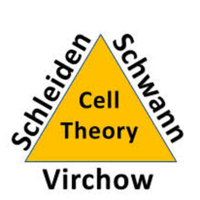 Timeline: Who Am I (Cell Theorists)