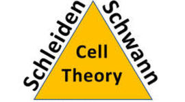 Timeline: Who Am I (Cell Theorists)