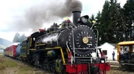 Timeline: historia del tren