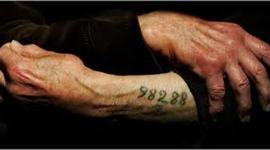 Timeline: Holocaust by Sadiya Strong