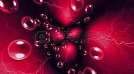 Timeline: Lovely Internet