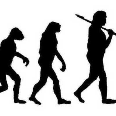 Timeline: Evolution of Evolution