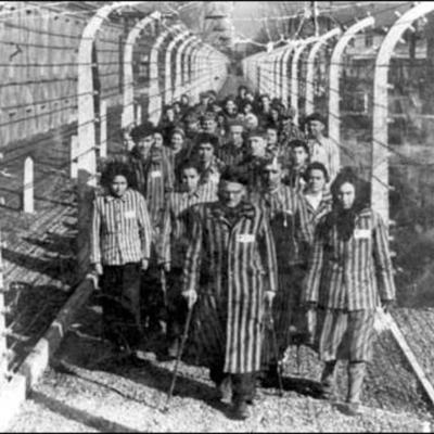 Timeline: EL HOLOCAUSTO 1941