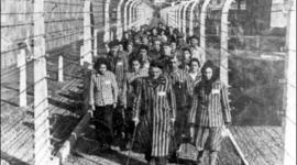 Timeline: EL HOLOCAUSTO 1941