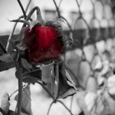 Timeline: Holocaust timeline by Ashley Nelson