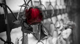 Timeline: Holocaust timeline by Ashley Nelson