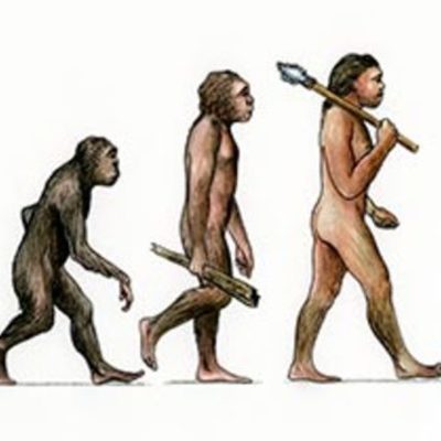 Timeline: The evelution of the T.V.