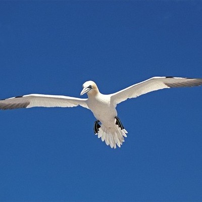 Timeline: East Lothian Winter League