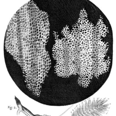 Timeline: Scientific events of te 1600s to the early 1900s