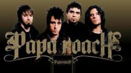 Timeline: Papa Roach Timeline
